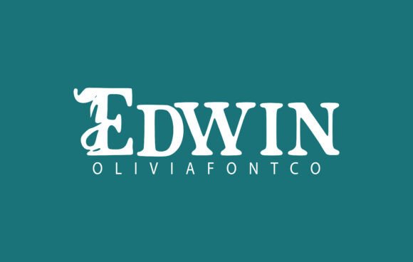 Edwin: The Font That Elevates Your Digital Brand