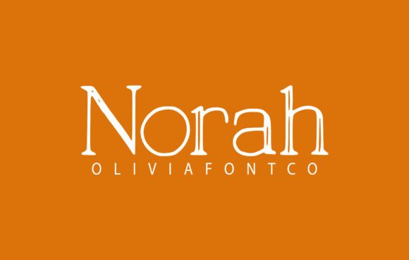 Font Review: Norah for Web Designers
