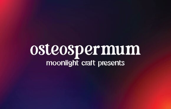 Osteospermum