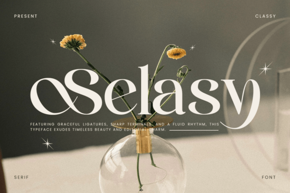 Refined Serif for Modern Marketing